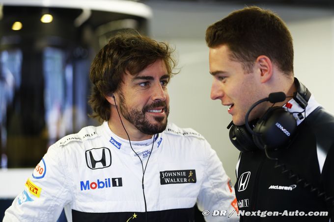 Alonso n'a pas peur de Vandoorne